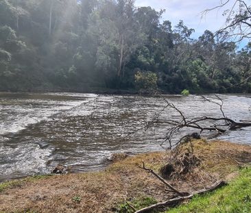 Balwyn North - Photo 4