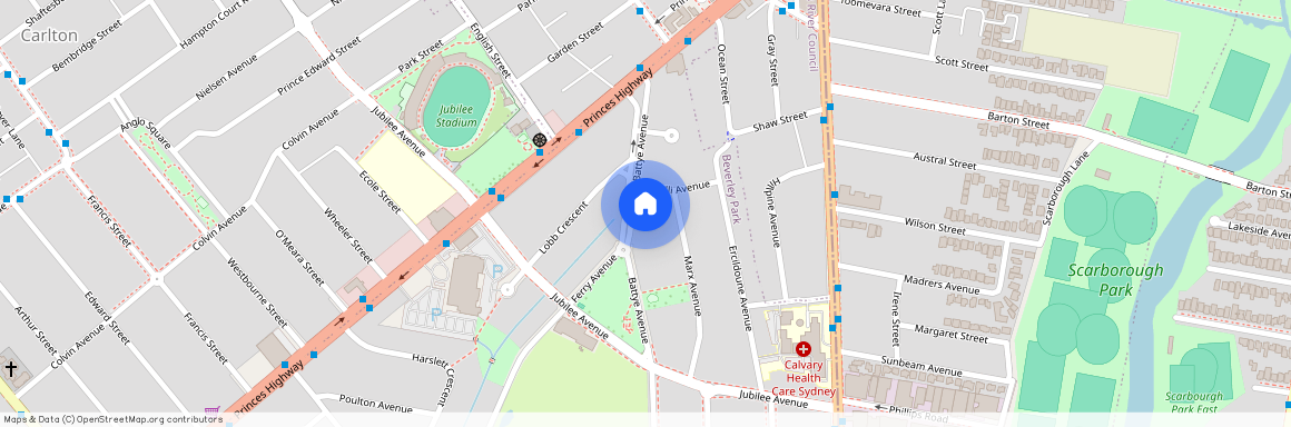 14 Battye Ave, NSW 2217, Beverley Park