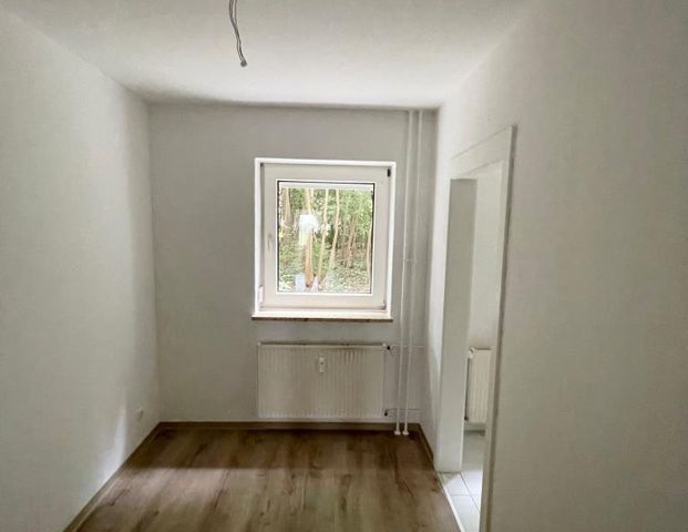 Große 4-Zimmer-Wohnung im Erdgeschoss mit Balkon in Menden - Photo 1