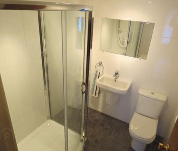 12 Colenso Court, Belfast, BT9 5BB - Photo 4