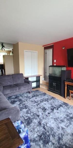 Logement 4 1/2 a partager - Photo 1