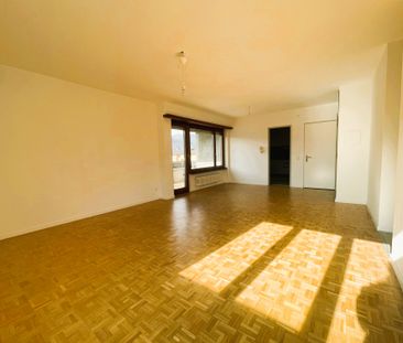 MENDRISIO – RISTRUTTURATO CON VISTA APERTA ED AMPI SPAZI - Photo 2