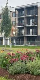 3 1/2 - Lévis - 1 200 $/mois - Photo 4