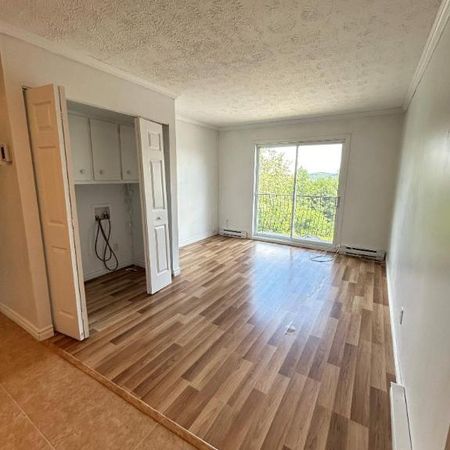 2 CH - 1 SDB - Sherbrooke - $1,150 /mo - Photo 3