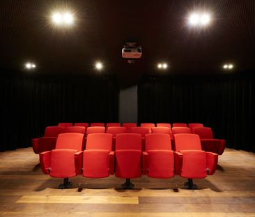 Live with the owner - 1 bedroom apartment - Photo 5