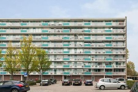 Spreeuwenstraat 3815 SZ Amersfoort - Photo 5
