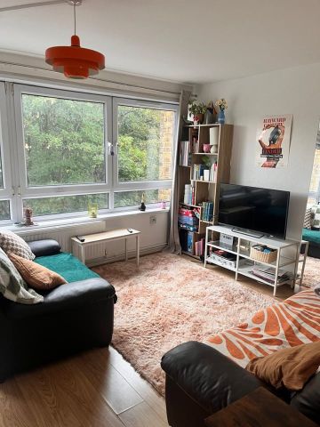 3 Bed Flat, Loweswater House, E3 - Photo 5