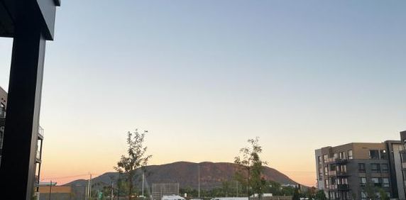 Grand 4-1/2 à louer à Beloeil avec beaucoup d'inclusions - Photo 2