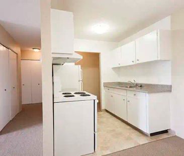 Mayfair Manor Apartments — 1 Bedroom available at 827 Selkirk Avenu... - Photo 6