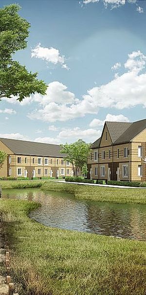 Zilverstreepzoom 9 - Photo 1