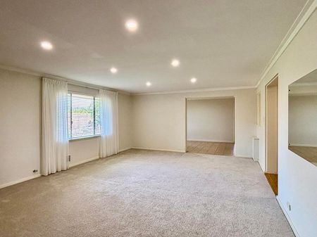 SO MUCH SPACE! - Photo 3