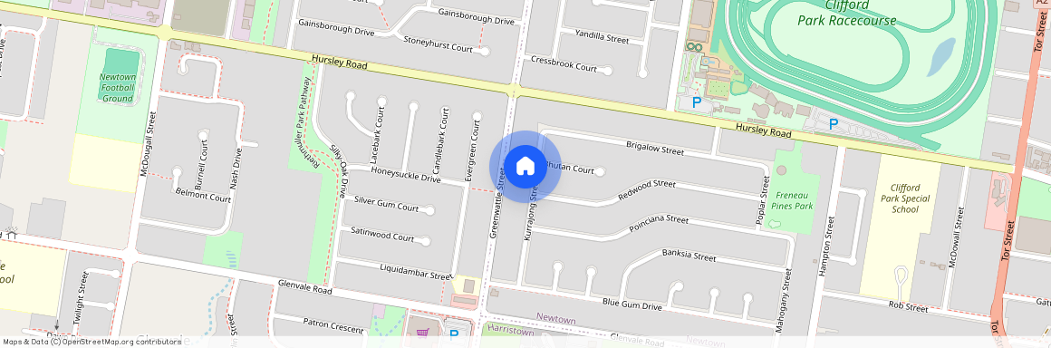 11 Kurrajong Street, Newtown