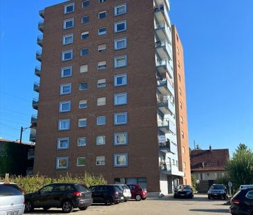 Mitten in der Stadt - mitten im Leben - Foto 5