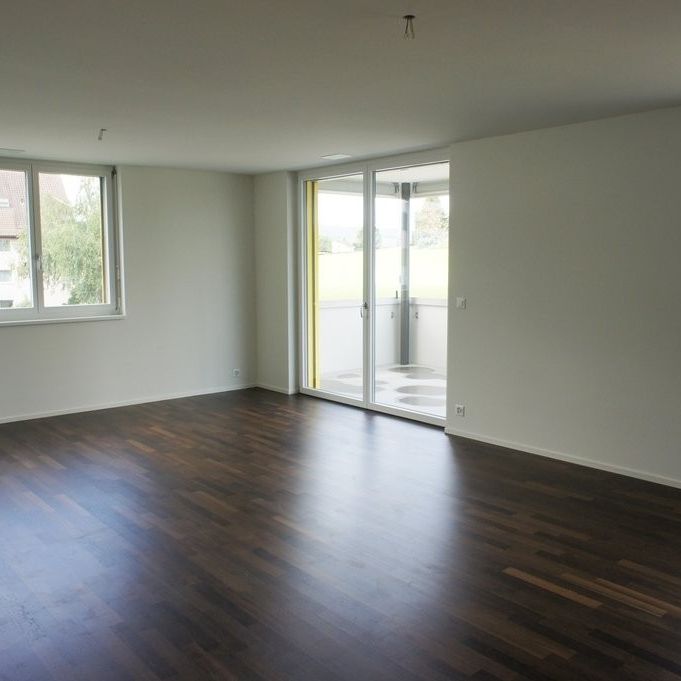 3 ½ Zimmer-Wohnung in Schwerzenbach mieten - Photo 1