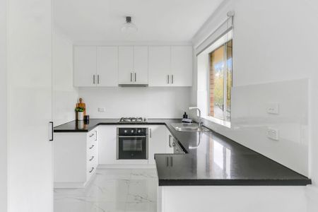 Stylish & Spacious Renovated Unit Overlooking Leafy Jeffcott Street - Photo 4