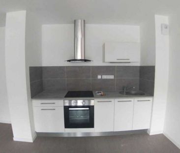 APPT 2 PCES- JARDIN DES PLANTES- 42.80M² - Photo 4