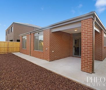 ULTIMATE FAMILY ENTERTAINER - Photo 6