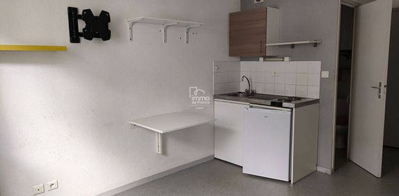 Location appartement 1 pièce 16.1 m² à Nantes (44000) - Photo 2