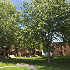 2 1/2 - Charny - Tout inclus - libre immédiatement - Photo 2