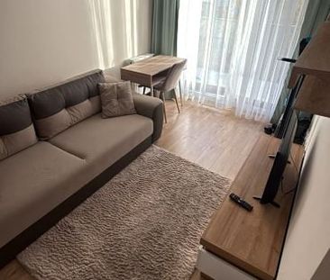 Pokój, ul. Niedziałkowskiego - Photo 3