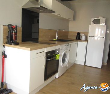 Location Appartement 1 pièce 28m² LA PALME 11480 - Photo 3