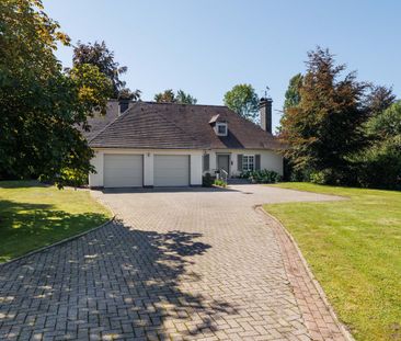 Klassieke villa op ruim perceel van 4.817m2 - Photo 6