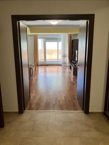 Big Two-Bedroom Flat - Le Club Herastrau - Fotografie 5