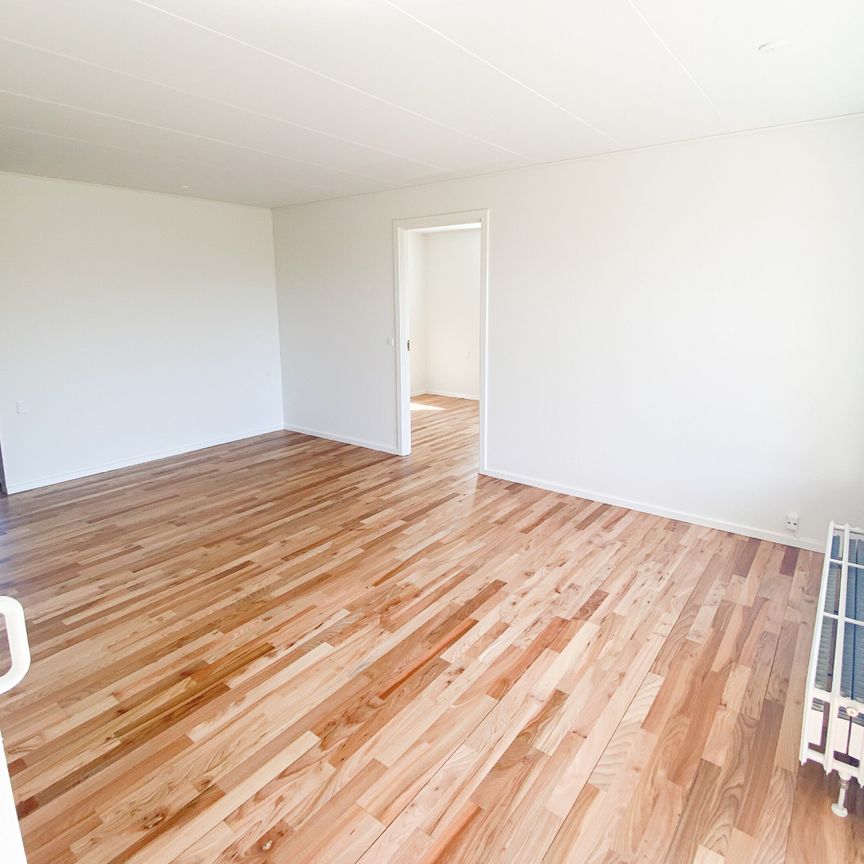 Lys og skøn 3-værelses lejlighed med terrasse - Photo 1