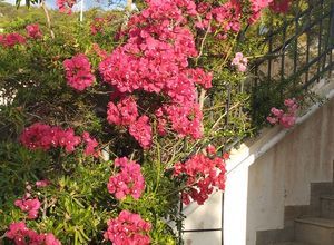 Διαμέρισμα για ενοικίαση - Κερατέα, - Photo 4