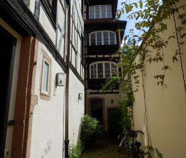 Location Appartement 1 pièce 25m² STRASBOURG 67000 - Photo 5