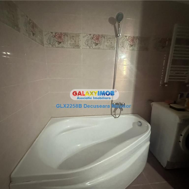 Apartament 2 camere Mobilat Utilat, Ilie Petre, 300 Euro - Fotografie 1