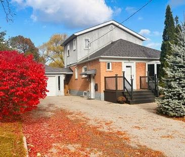 For Lease - 78 Cree Avenue, Toronto, Ontario - Photo 5