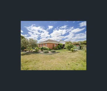 19 Farfalla Way, Tarneit, Vic 3029 - Photo 6
