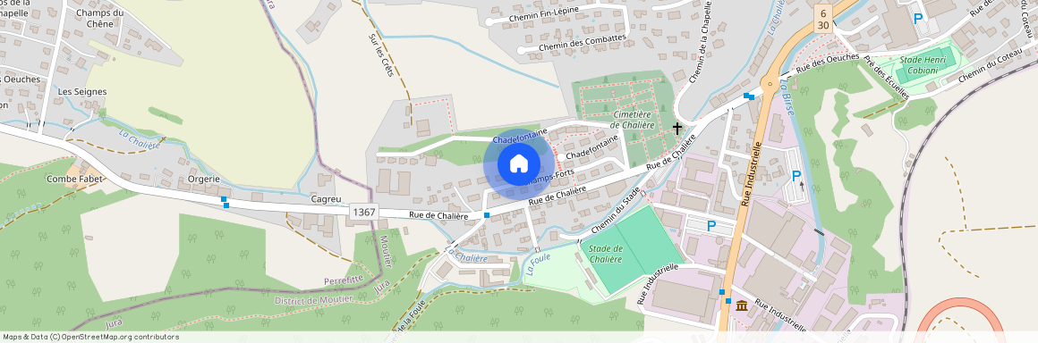 2740, Moutier, Champs-Forts, 20