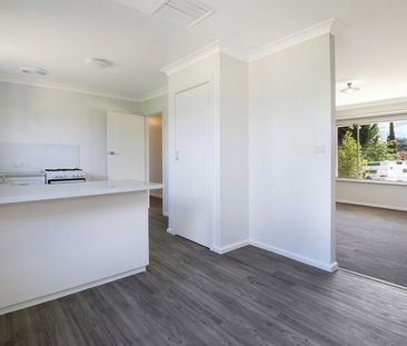 569 Noorla Place, Lavington - Photo 4