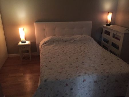 LEVALLOIS-PERRET - QUARTIER GREFFULHE - DEUX PIÈCES MEUBLÉ - Photo 5