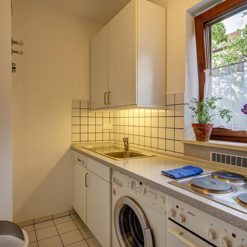 Newly renovated apartment with garden plot and internet - Photo 1