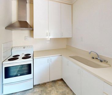 Central Palmerston North - 1 Bedroom - Photo 4