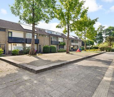 Bergschot 244 - Foto 2