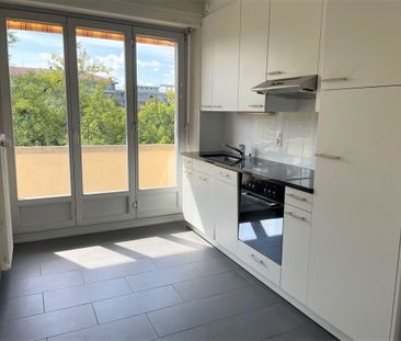 Bord de l'Arve - Foto 3