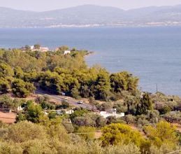 Μονοκατοικία για ενοικίαση - Ερέτρια, - Photo 6