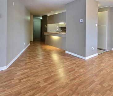 4 1/2 PAISIBLE, lumineux, rénové (LORETTEVILLE) - Photo 3