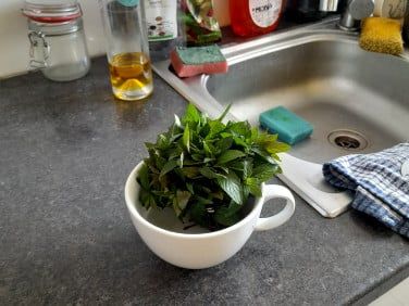 Pokój, ul. Głogowska - Zdjęcie 1