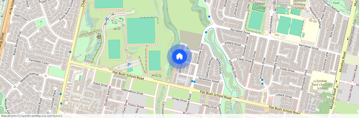 38 Whimbrel Road, Manukau City, Flat Bush