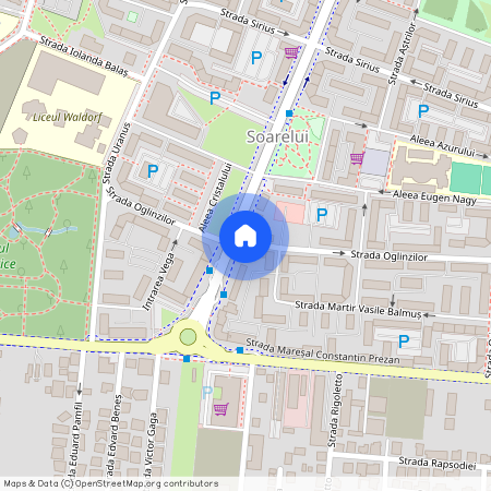 Timis, Timisoara