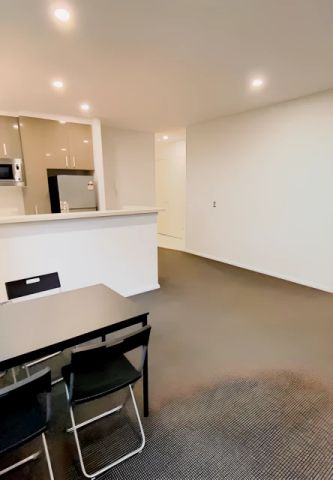 2 bed 2 bath-511 - Photo 4