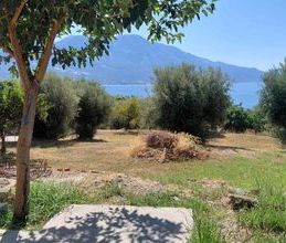 Μονοκατοικία για ενοικίαση - Κεκροπία (Παλαίρου), - Photo 3