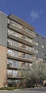 For Lease - 65 North Service Road Unit# 503, Mississauga, Ontario - Photo 4