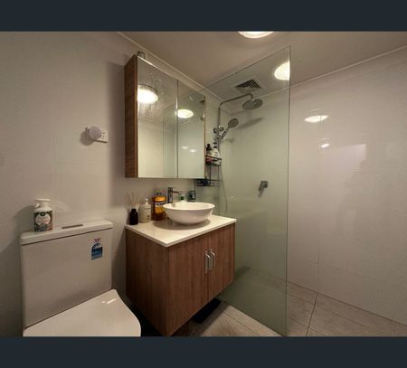 11/576 Forest Rd, Penshurst, NSW 2222 - Photo 5