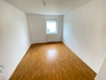 3 ZIMMERWOHNUNG MIT TERRASSE IN MITTERTREFFLING - Photo 5